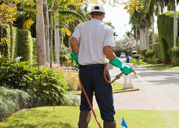 About Alta Vista KS Pest Control